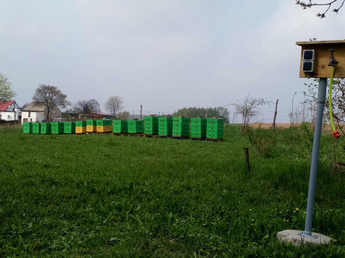 Doboszowice Gospodarstwo U Krakusa מראה חיצוני תמונה